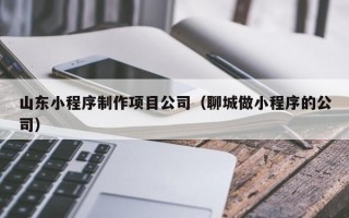 山东小程序制作项目公司（聊城做小程序的公司）