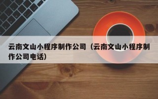 云南文山小程序制作公司（云南文山小程序制作公司电话）